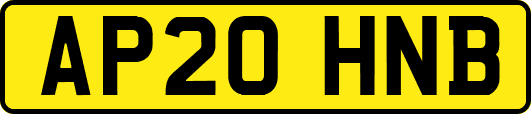 AP20HNB