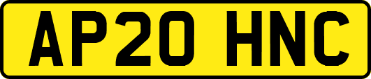 AP20HNC