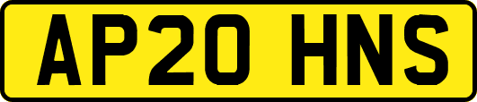 AP20HNS