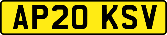AP20KSV