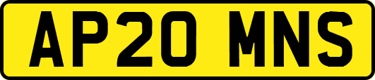 AP20MNS