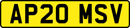 AP20MSV