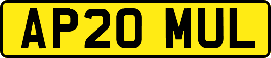 AP20MUL