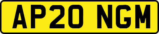 AP20NGM