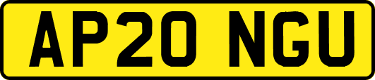 AP20NGU