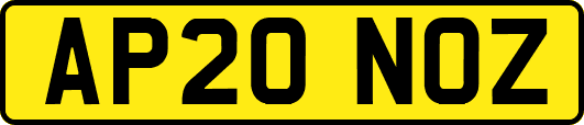 AP20NOZ