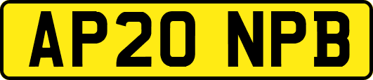 AP20NPB