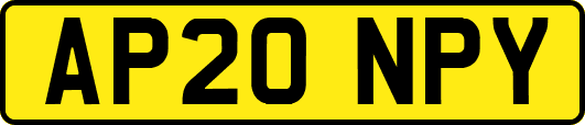 AP20NPY