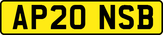 AP20NSB