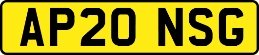 AP20NSG