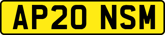 AP20NSM