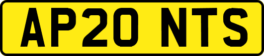 AP20NTS