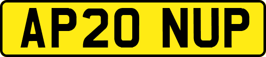 AP20NUP