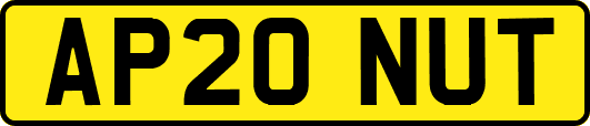 AP20NUT
