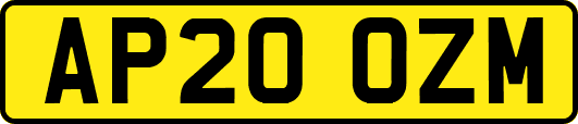 AP20OZM