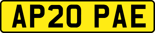 AP20PAE