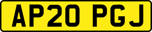 AP20PGJ