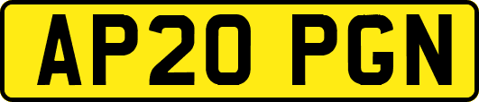 AP20PGN