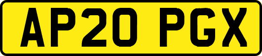 AP20PGX