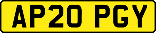 AP20PGY