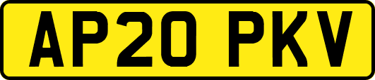 AP20PKV