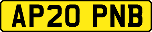 AP20PNB