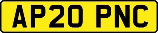 AP20PNC