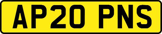 AP20PNS