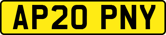 AP20PNY