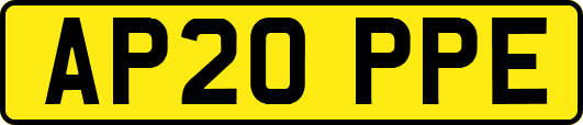 AP20PPE