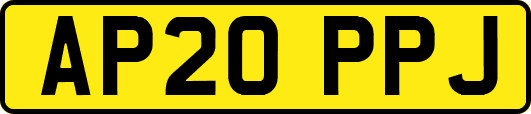 AP20PPJ