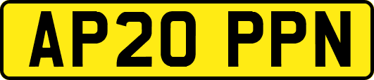 AP20PPN