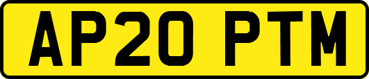 AP20PTM