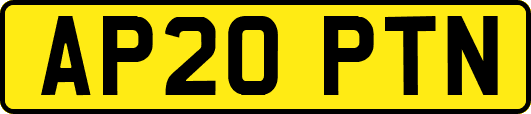 AP20PTN