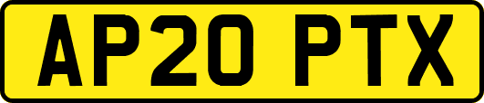 AP20PTX