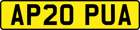 AP20PUA