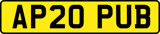 AP20PUB