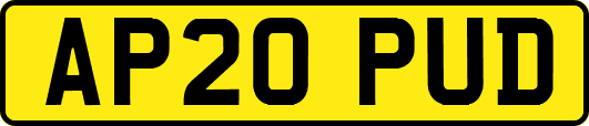 AP20PUD