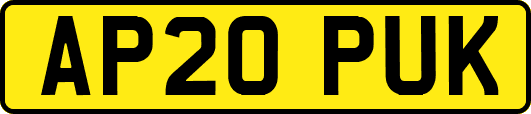 AP20PUK