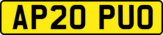AP20PUO