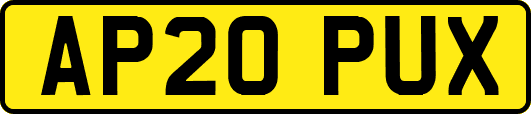 AP20PUX