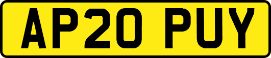AP20PUY