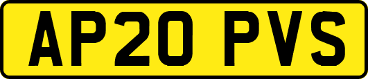AP20PVS