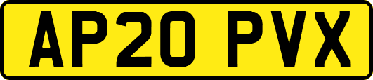AP20PVX