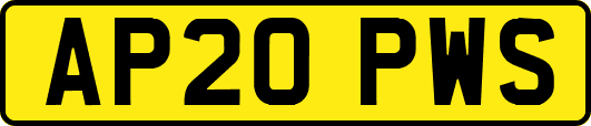 AP20PWS