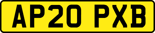 AP20PXB