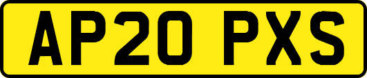 AP20PXS