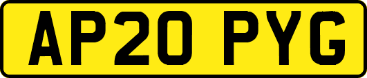 AP20PYG