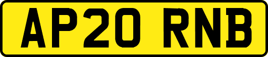 AP20RNB