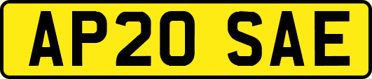 AP20SAE
